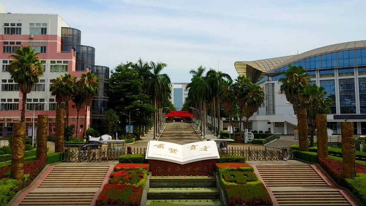 Hainan Overseas Chinese Middle School palm-lined campus avenue and sign
