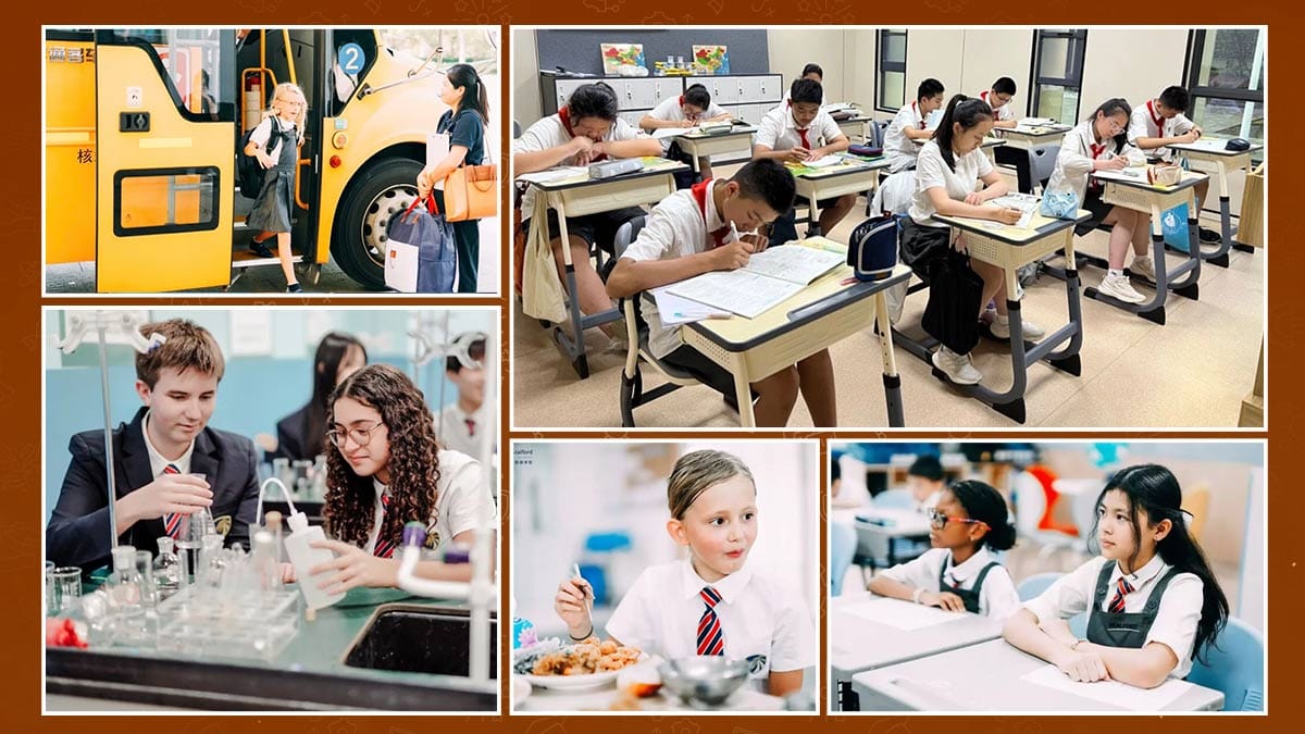 Nantong Stalford International School bus, science lab, classroom and lunch collage