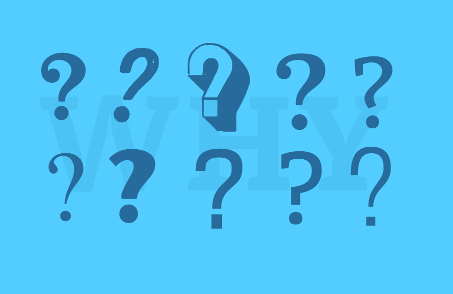 Question Everything