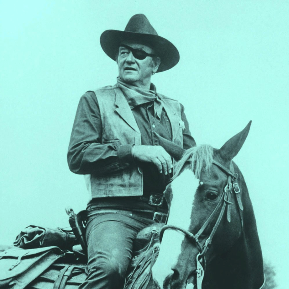 It takes true grit to be a good project manager