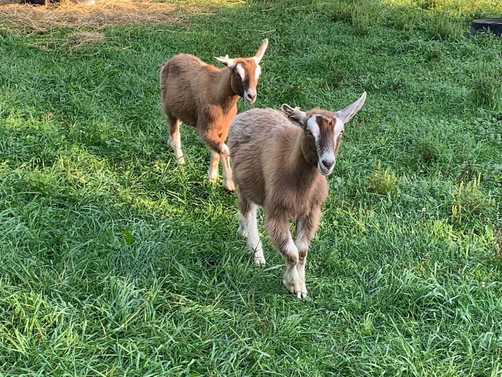 Driving code design, through tests (II)