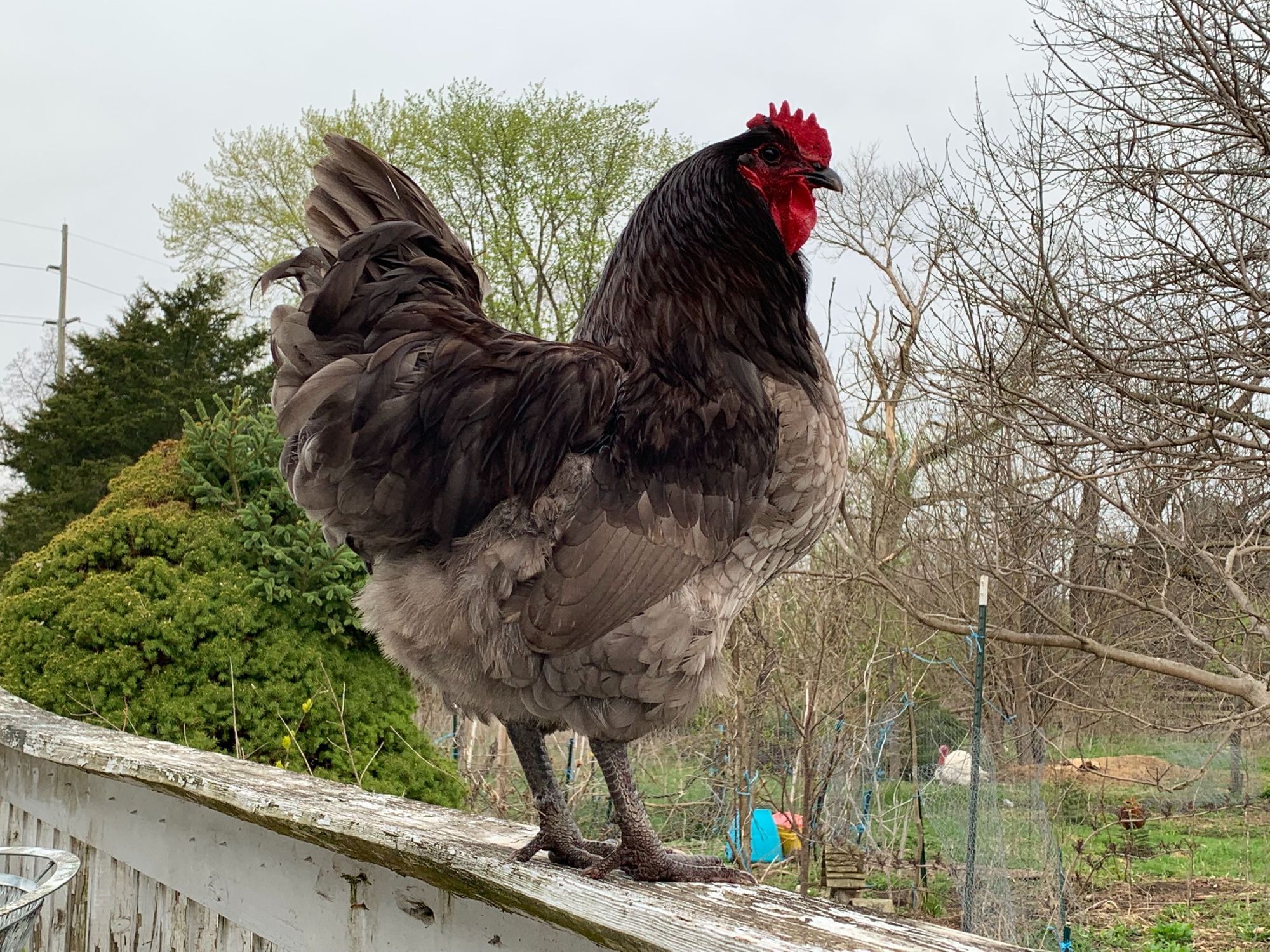 Exploring AWS IoT Analytics