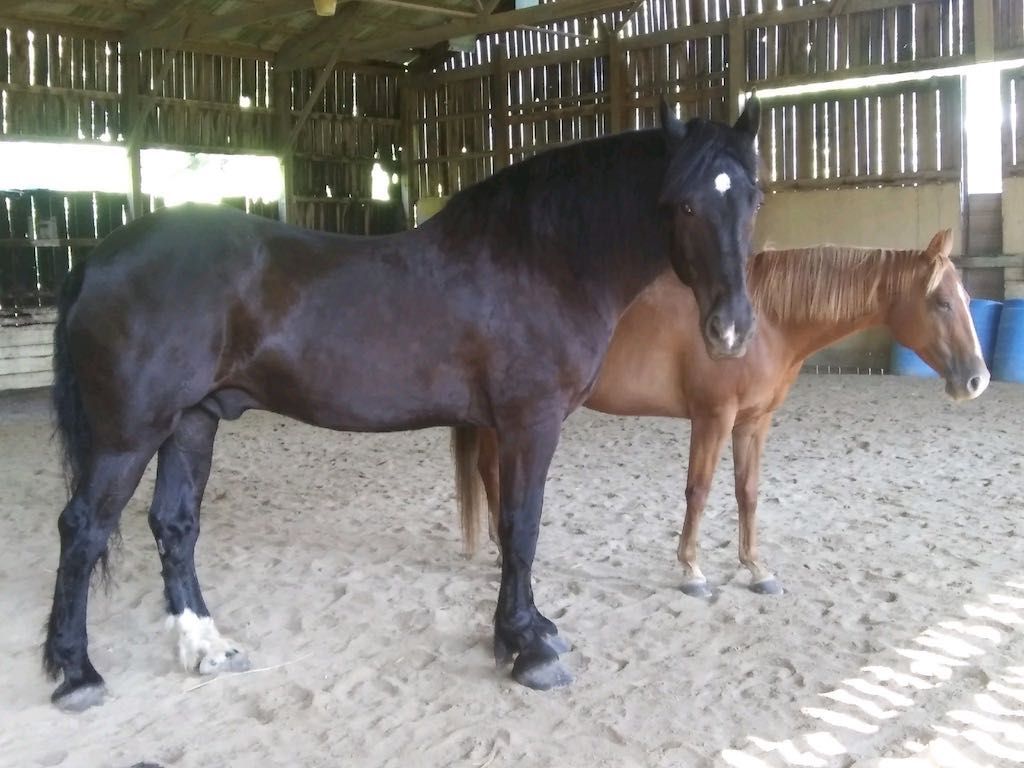 Driving code design, through tests (III)