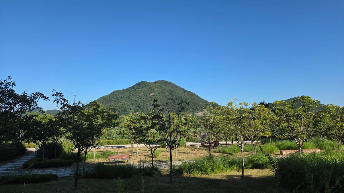 전월산은 낮지만, 굉장한 풍경을 자랑하는 세종의 명산이다. (2026. 8. 12.)