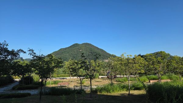 전월산은 낮지만, 굉장한 풍경을 자랑하는 세종의 명산이다. (2026. 8. 12.)