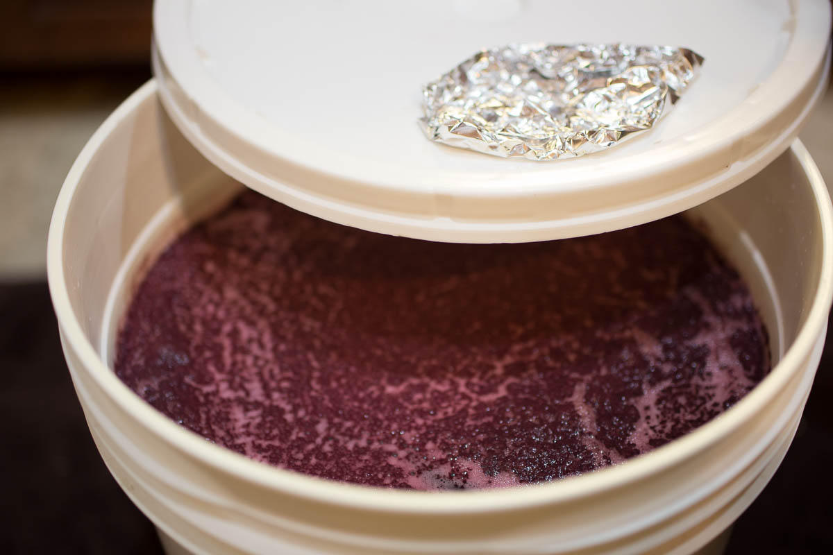 Good signs of fermentation