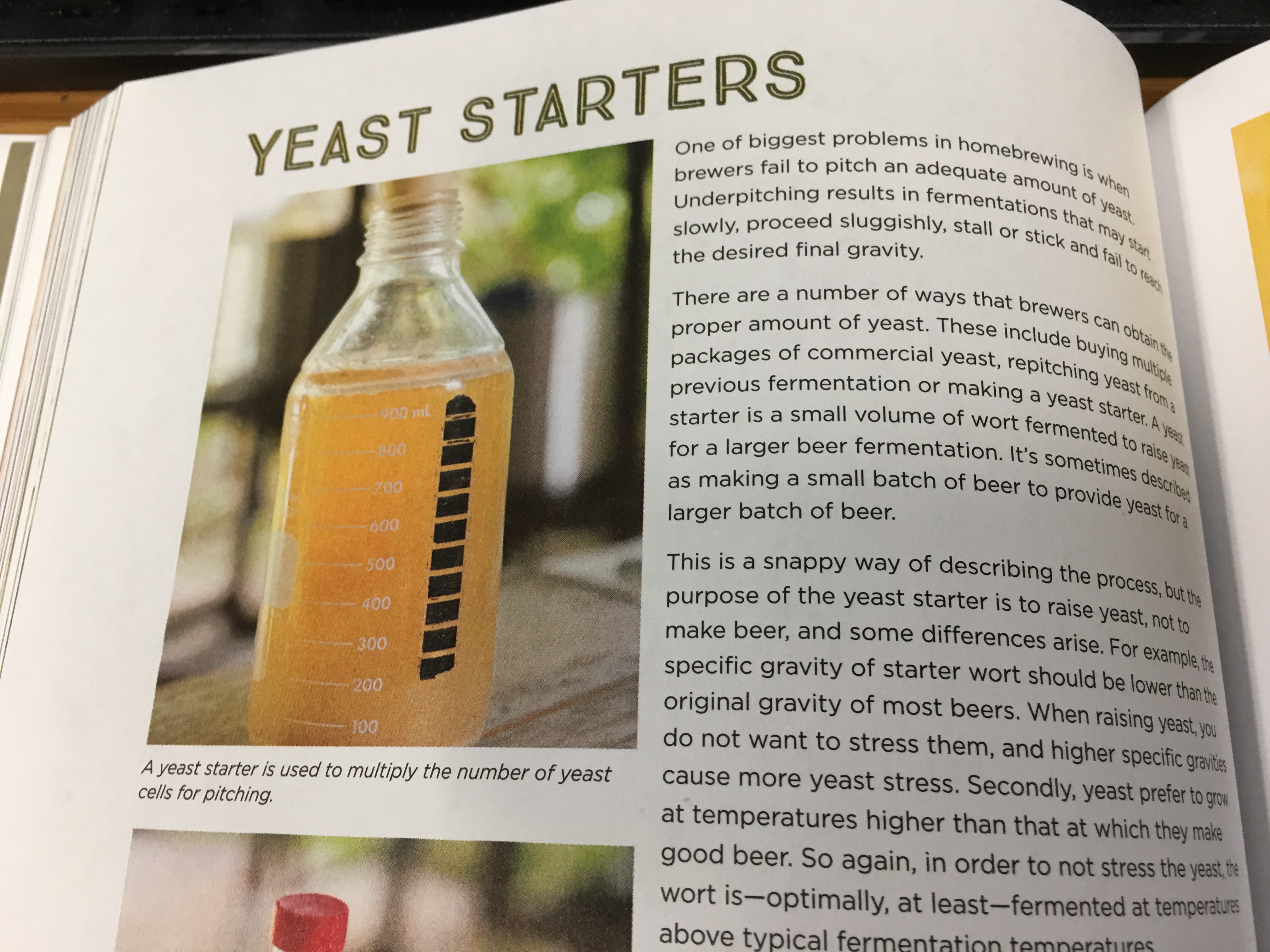 Yeast Starters