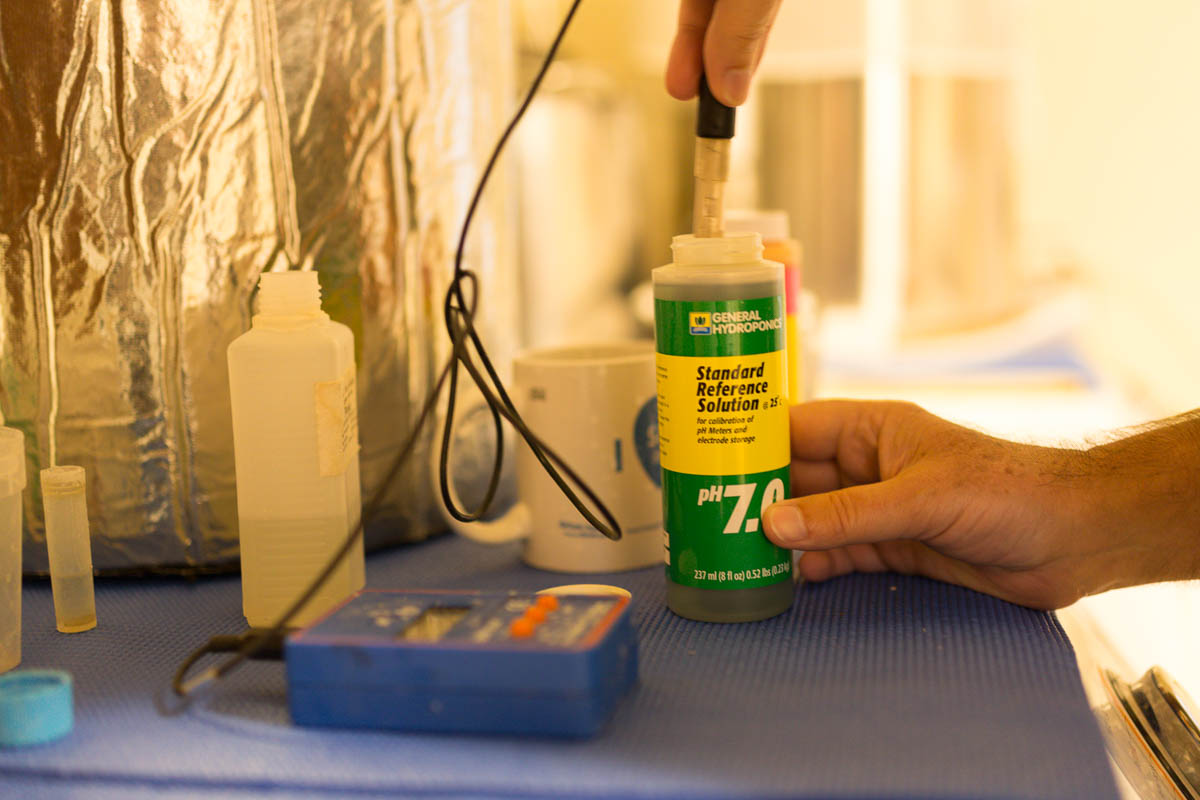 7.0 pH calibration solution