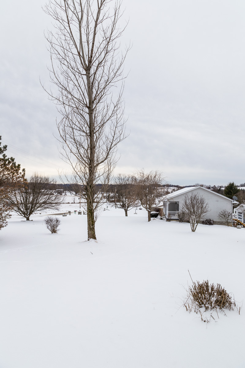 Snow in Wheelersburg