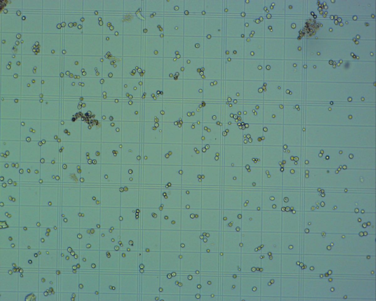 Lab setup - test pictures