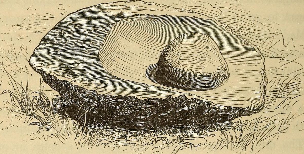 Improving Your Recipes