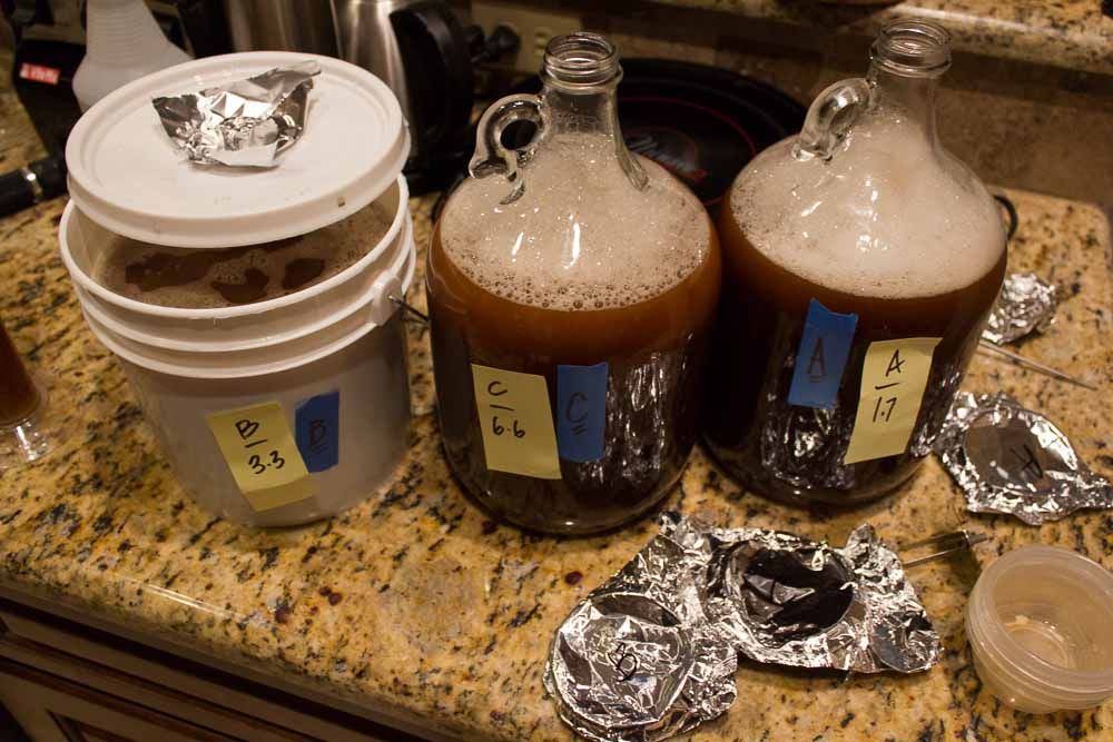 Yeast Pitching Rate Experiment - A BUST