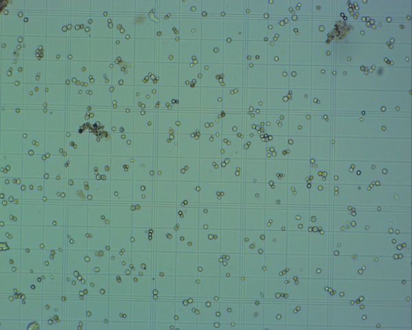 Lab setup - test pictures