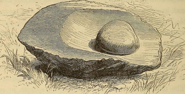 Improving Your Recipes