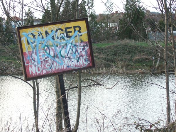 An Authoritative Article on Authoritative Advice, or YMMV