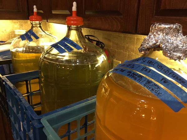 Mead, Part 1: Mead Making Accelerated