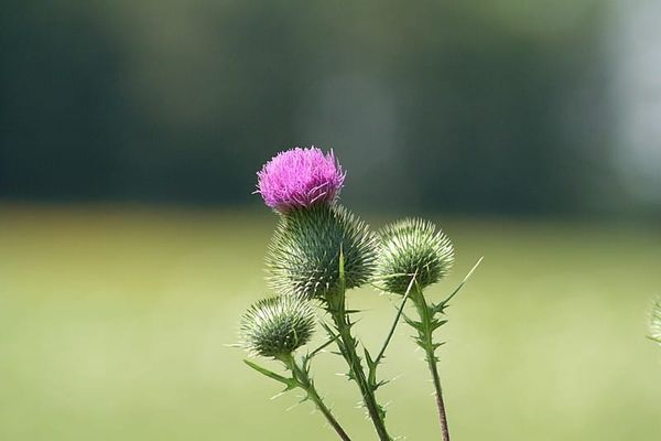 When Perfection is the Enemy of...