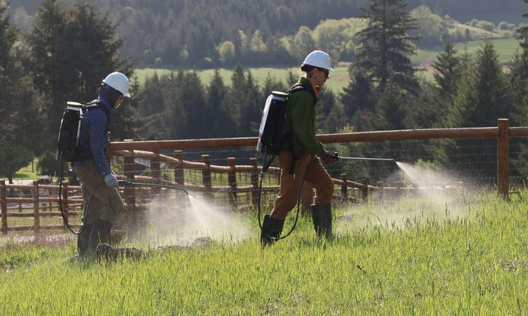 Beyond the Weeds: How Herbicides Reshape Living Soils