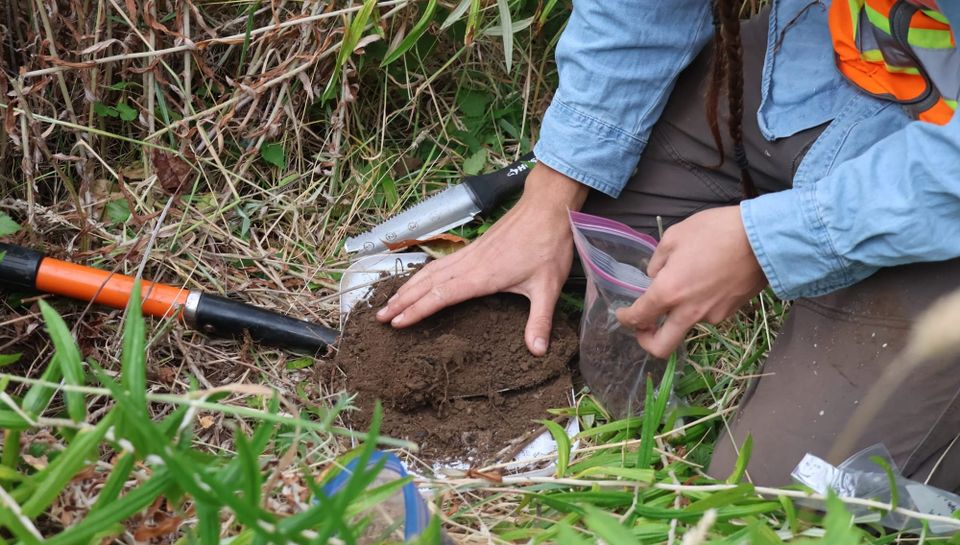 a non-profit organization dedicated to improving soil health and function for wildlife