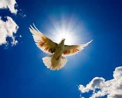 Peace That Stays