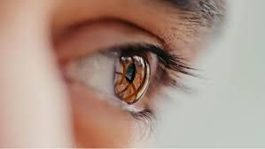 Presence That Refuses to Look Away