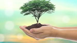 Stewardship of Time, Money & Energy