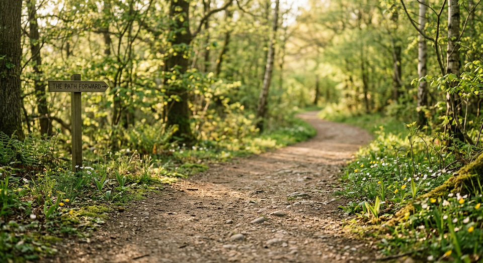 A path leading into soft morning light, symbolizing gradual growth and transformation over time.
