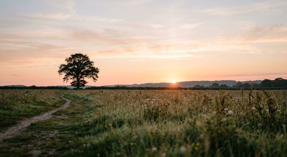 A soft sunrise over a calm landscape, symbolizing a quiet new beginning.