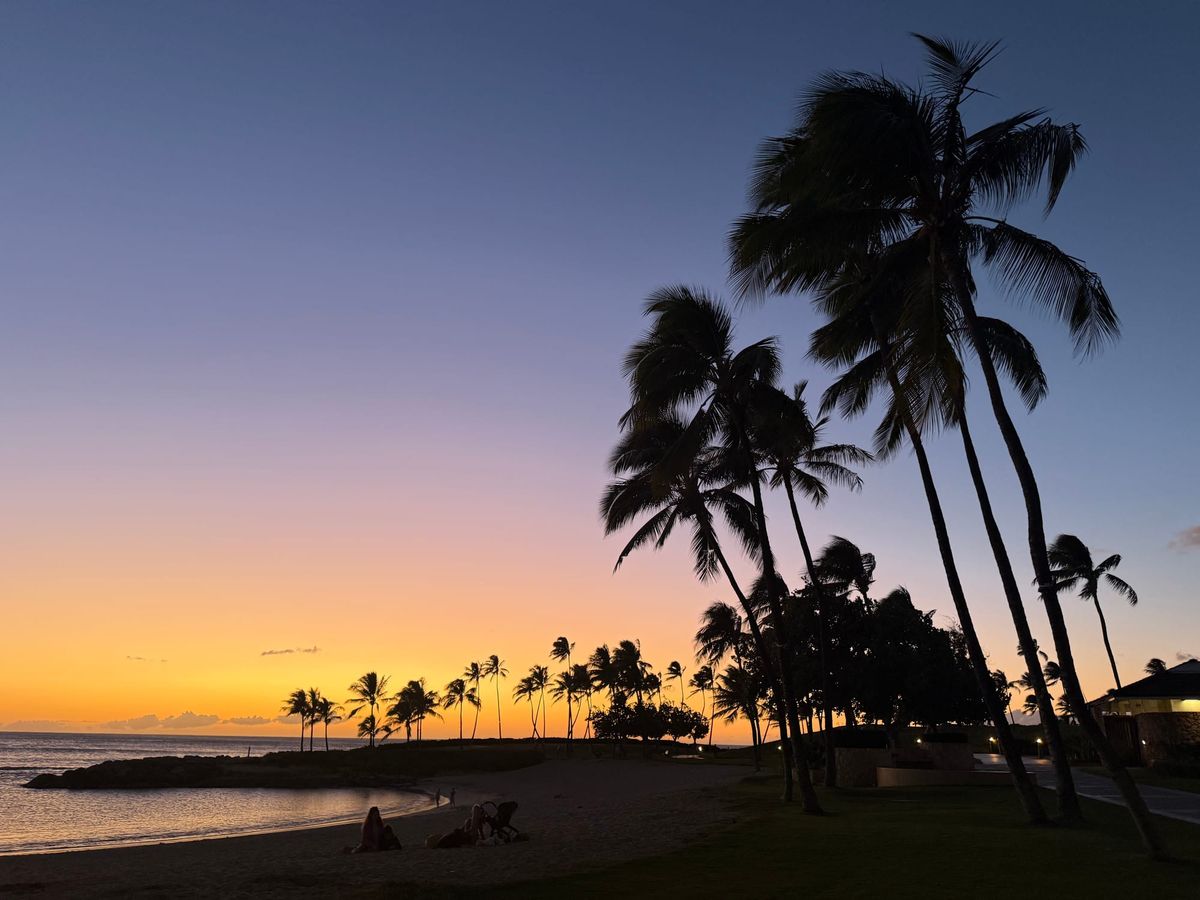 [Photo Album] 2025 Vistas