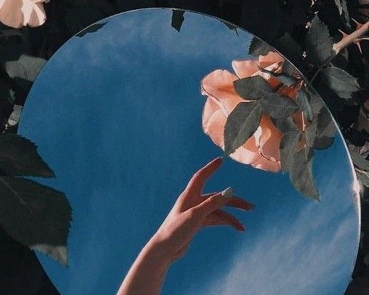 [Spring 2023] Sincerely Devoted to Your Fragrance