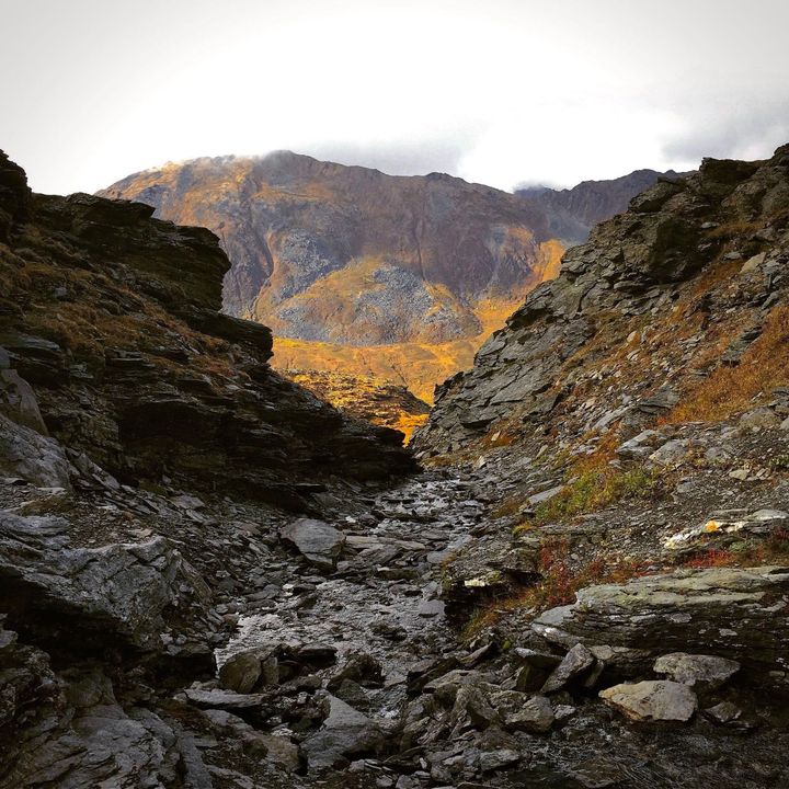 [Fall 2020] Scents of Nostalgia