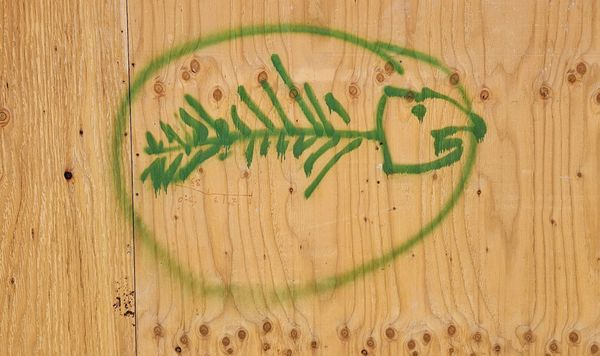 Newsletter: Lazy Days out, lots of Americana,  Sonoma Punk legends and more this week!