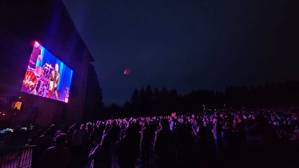 Found Out About You: A first-timer's experience at the Green Music Center with the Gin Blossoms.