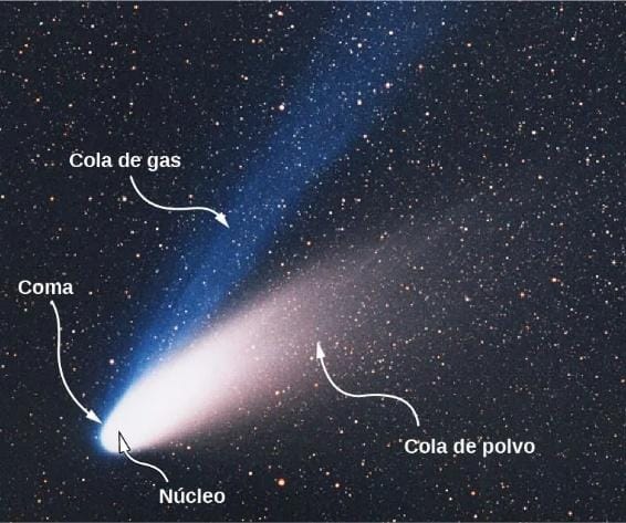 Nￃﾺcleo

El contenido generado por IA puede ser incorrecto.