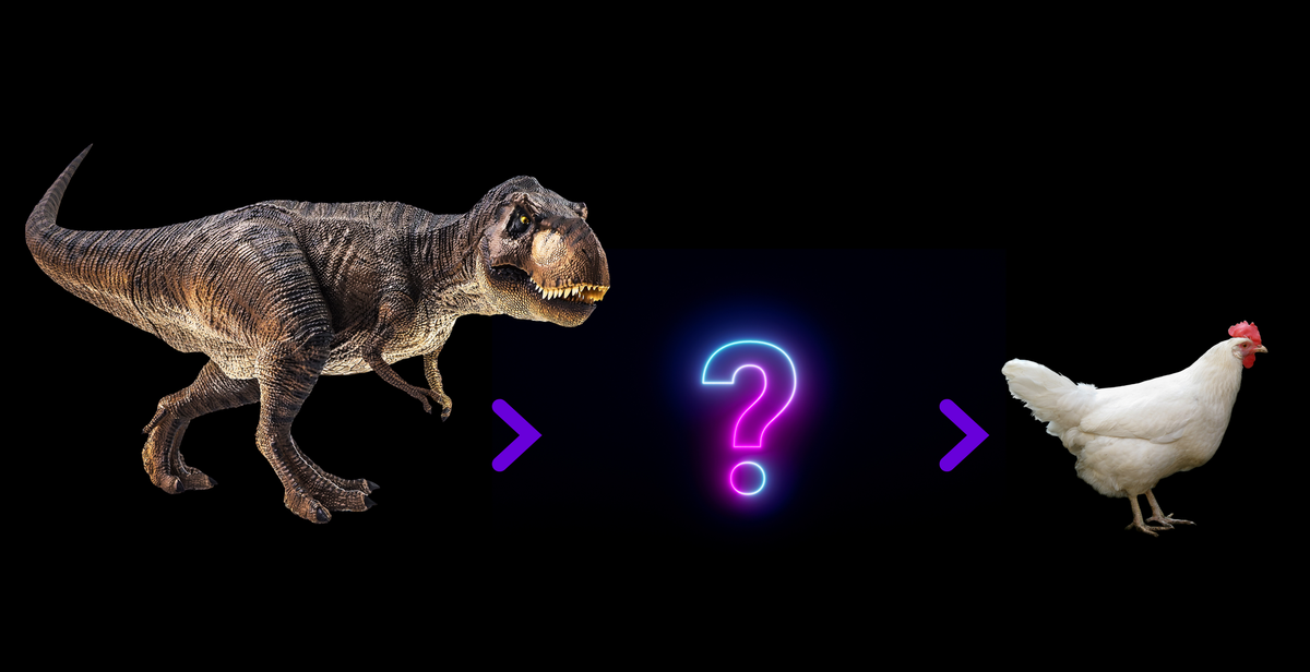 ¿Existen las especies transicionales?