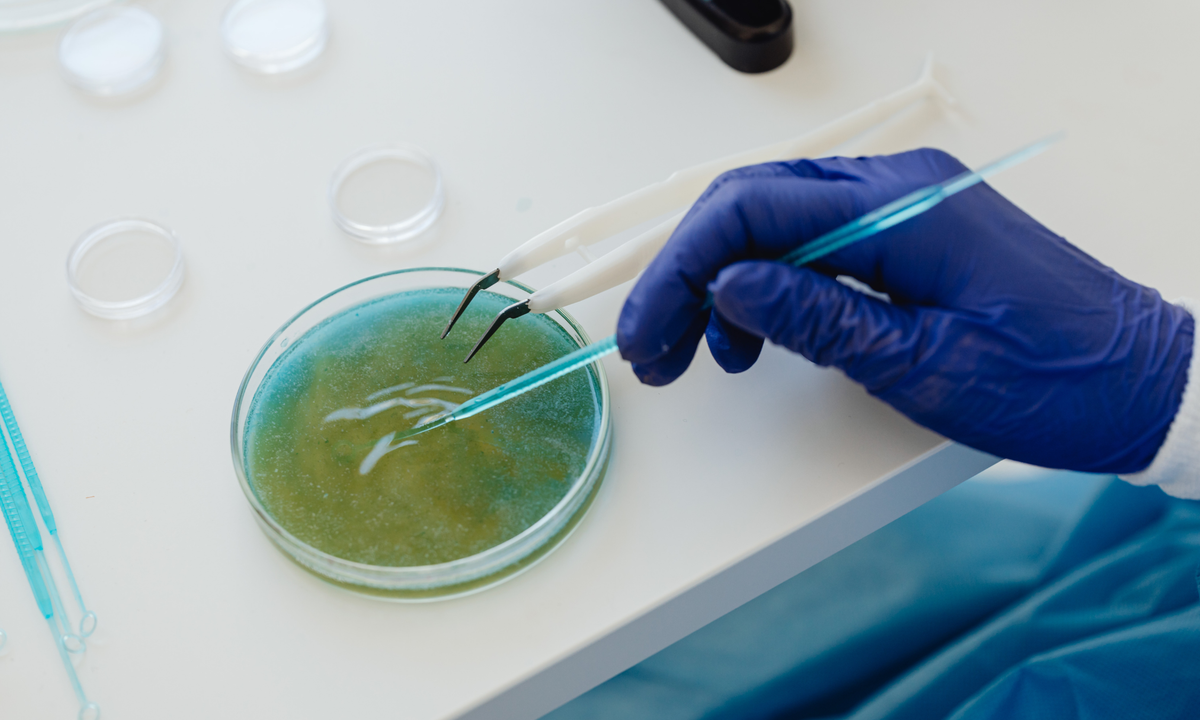 What Is Antimicrobial Film in Packaging?