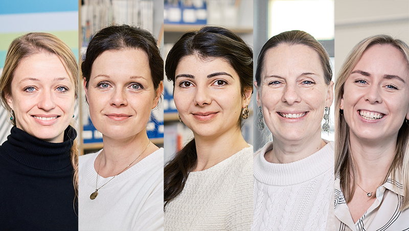 Von Neuanfängen und Tauchgängen