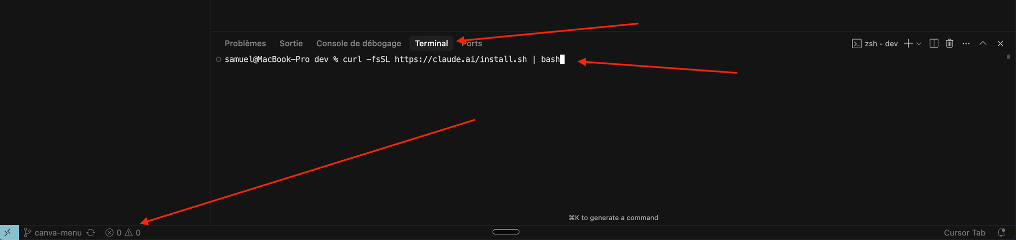 install claude code using installer