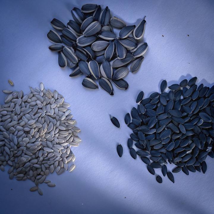 Imperishable Seed