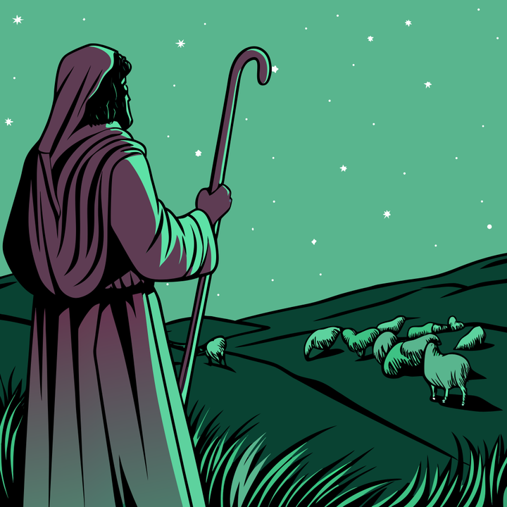 Care For The Flock