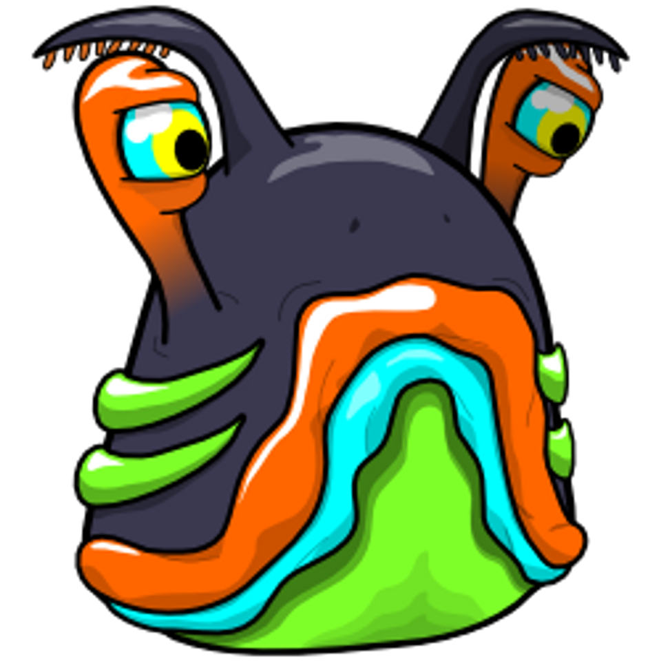 nudibranch