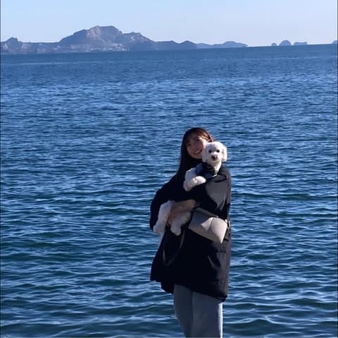 西澤七海