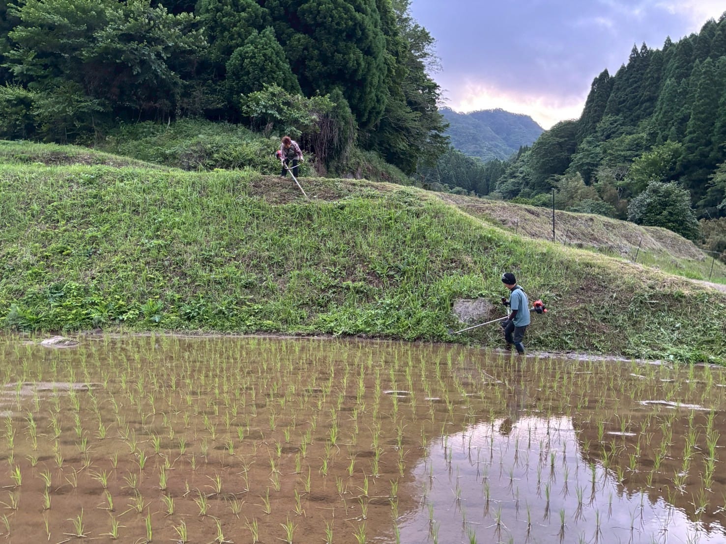 「面積の過半は斜面」中山間地農業を蝕む重労働：草刈りDXが狙う未開拓の巨大市場