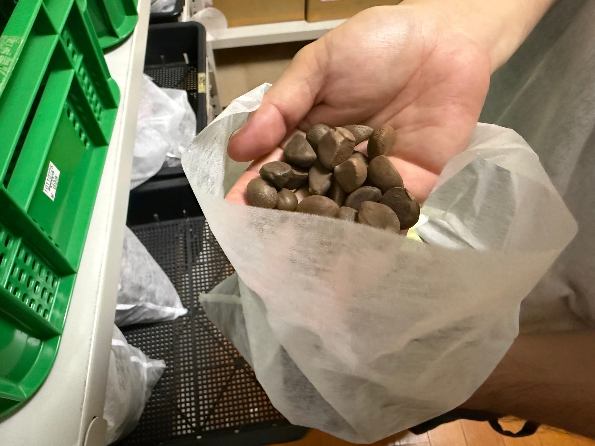 「作れば売れる」のに供給限界。市場成長を阻む、椿油サプライチェーンはいかにして紐解けるか