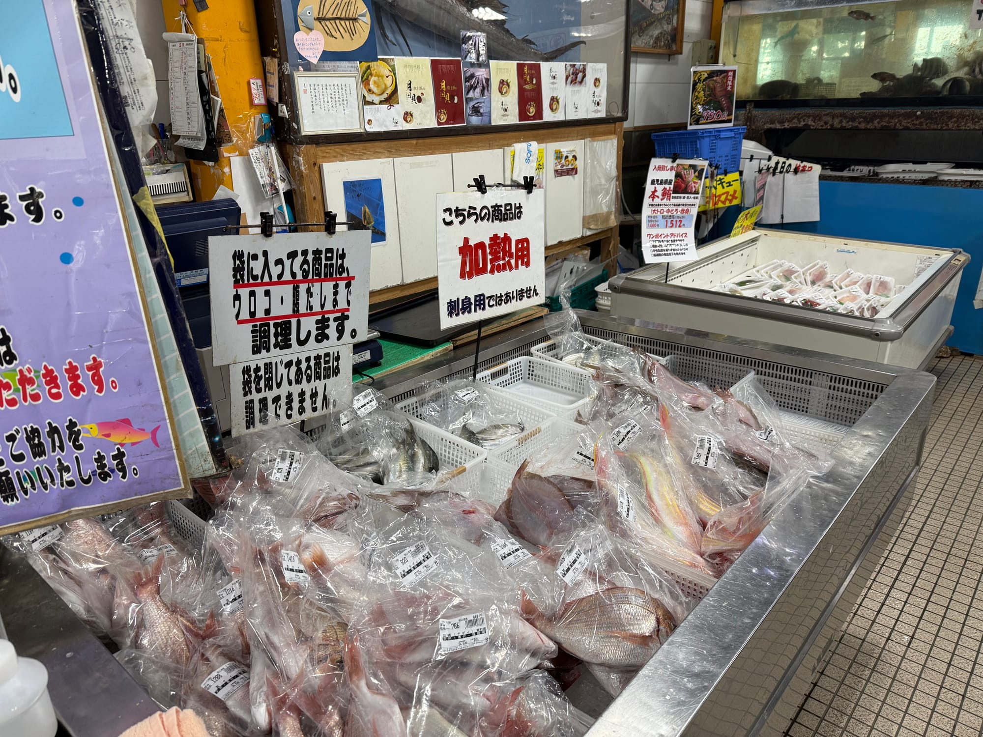 「未知の魚」を市場の主役に：気候変動がもたらす水産ミスマッチを解消する“探索・加工インフラ”の構築