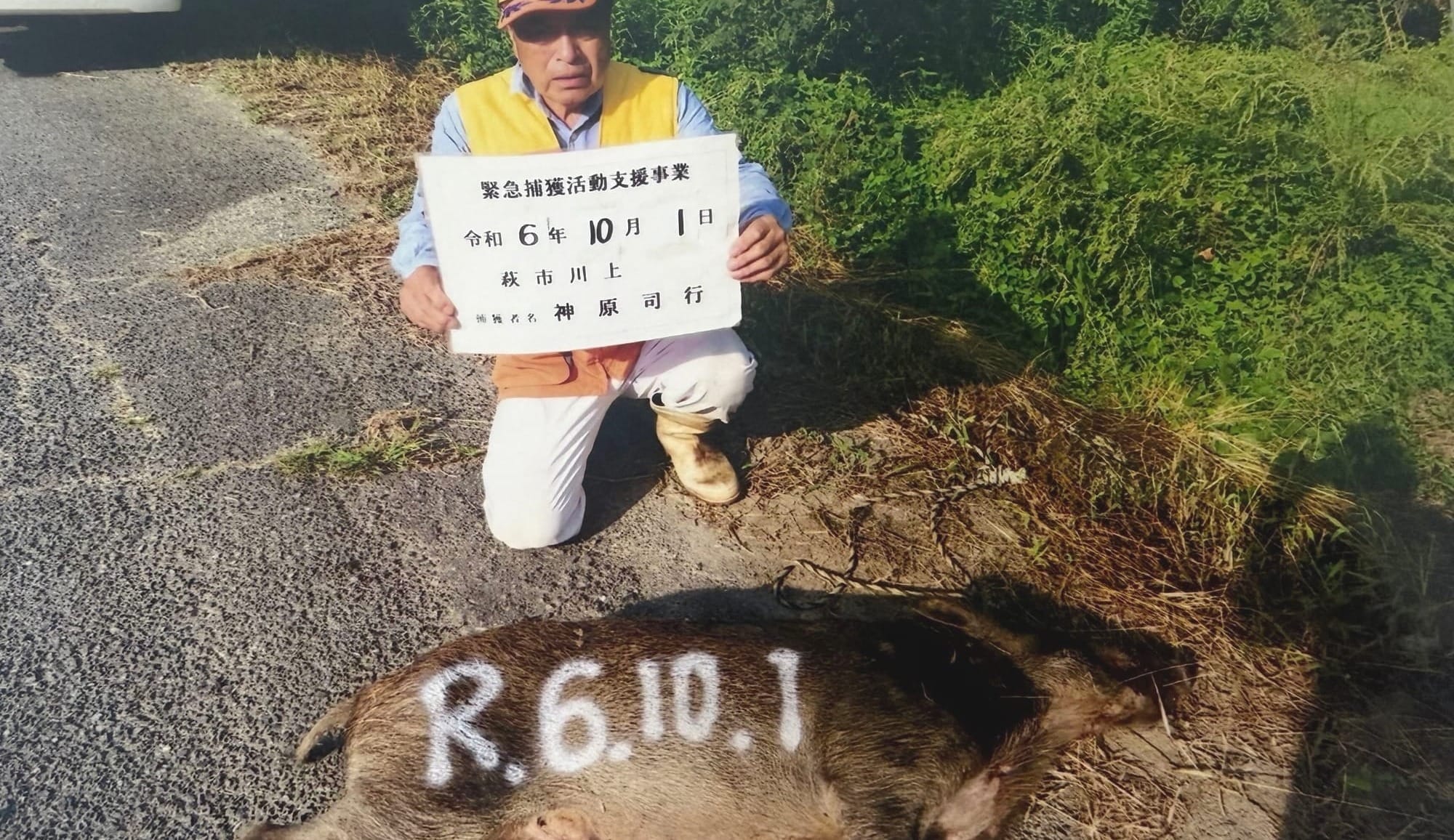 イノシシの罠に、クマが入る。「罠を仕掛けるほど赤字」の不条理。多種多様な野生動物に包囲された農村の『監視コスト』