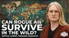All Compute Is Food: Palisade's Jeffrey Ladish on AI Shutdown Resistance, Self-Replication & Ecology
