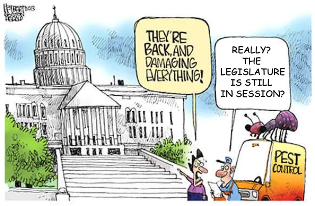 CEBV Weekly: May 20, 2024