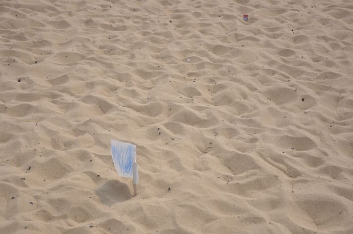 Feature Flags + A/Bテスト システム 機能比較 2022年6月版