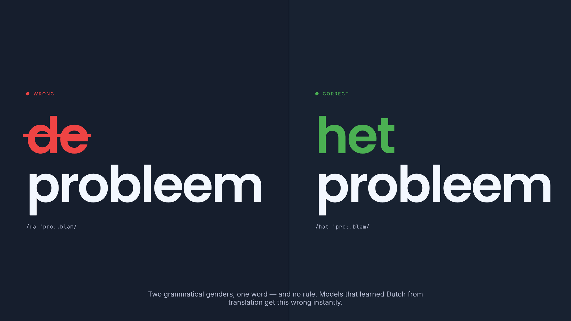 Illustration of the Dutch de vs het article distinction — a subtle grammar trap that often trips up AI models.
